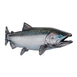Fat Nancy's Tackle Shop Salmon Decals
